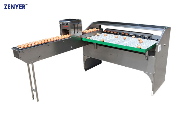 Máquina de clasificación de huevos ZYF-J2L (101B) — foto