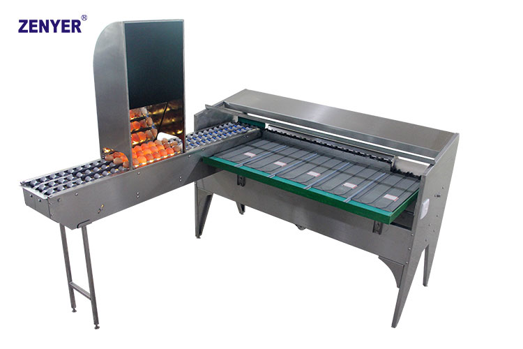 Máquina de clasificación de huevos ZYF-J3L(R) (102B) — foto