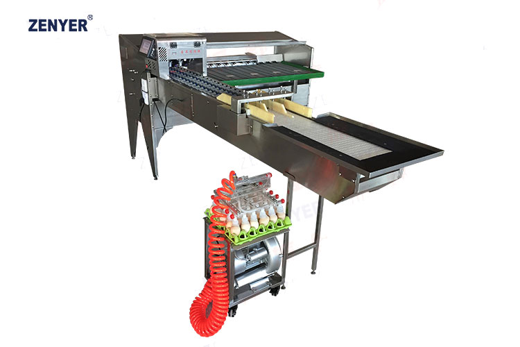 Máquina de clasificación de huevos ZYF-JS3-L (102BS) — foto