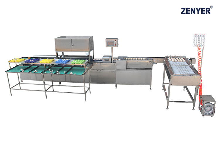Máquina de clasificación de huevos FXB10 (104B) — foto
