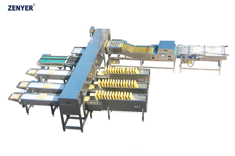 Máquina de clasificación de huevos FBC20-3  (107) — foto