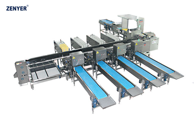 Máquina de clasificación de huevos FBD30-4  (109) — foto